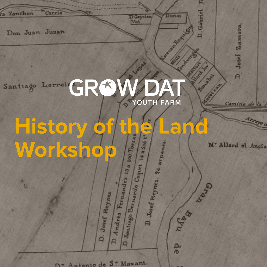 History of the Land Workshop - logo
